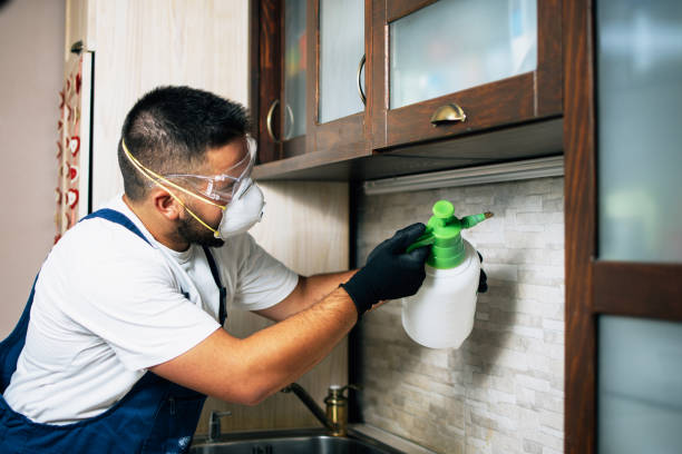 Best Termite Control Services  in Millport, AL