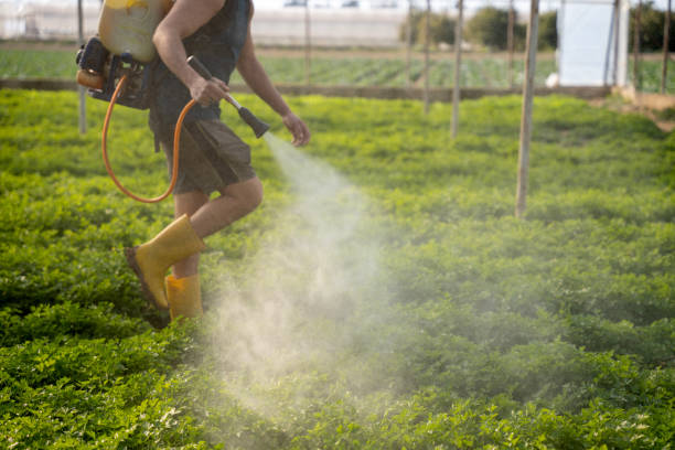 Best Pest Control for Homes  in Millport, AL