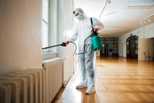 Best Bed Bug Extermination  in Millport, AL